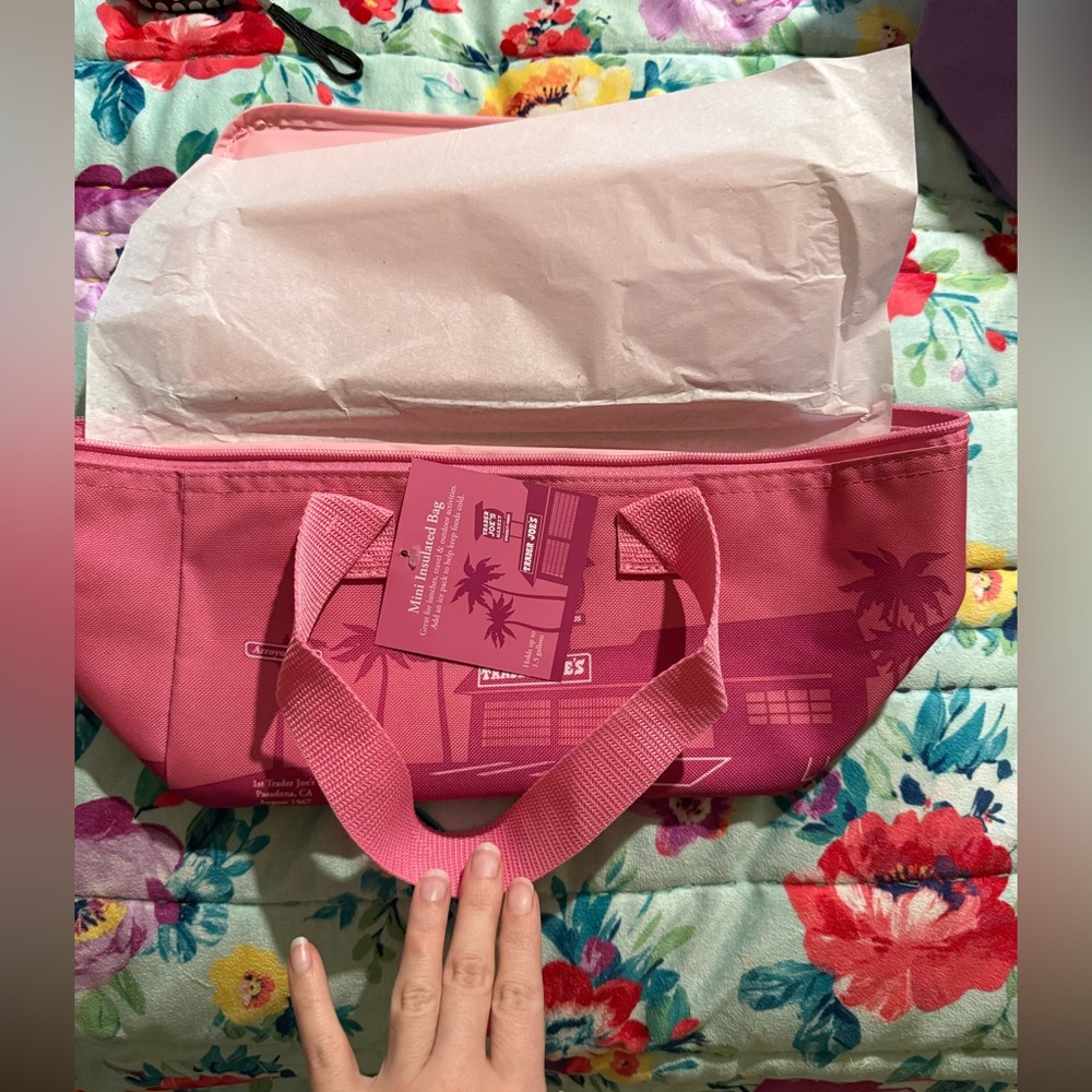 Trader Joe’s mini insulated cooler bag Pink